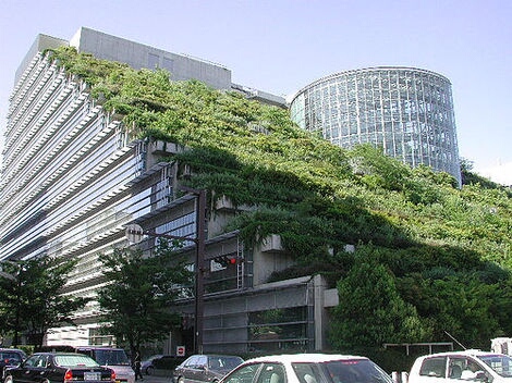 ¿Te gustaría vivir y trabajar en un edificio ecológico?