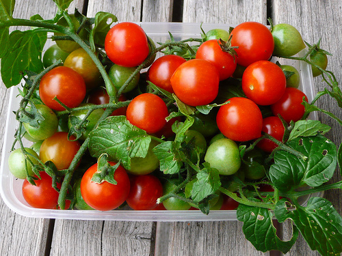 Formas de comer tomate
